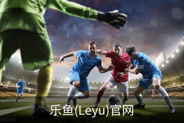 乐鱼(Leyu)官网公司简介